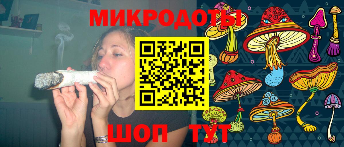 Псилоцибиновые грибы Psilocybe Артём